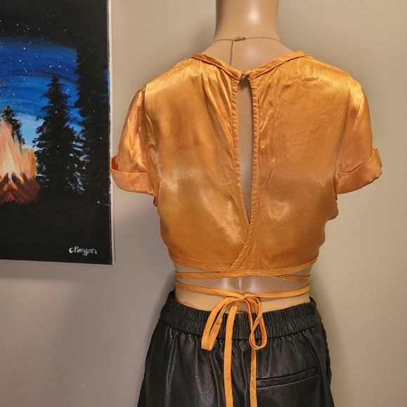 Bardot Satin Croptop - Picture 2 of 3